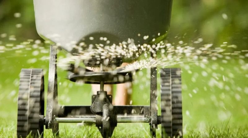 Top Techniques for Eco-Friendly Lawn Fertilization